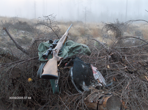 Grouse hunting