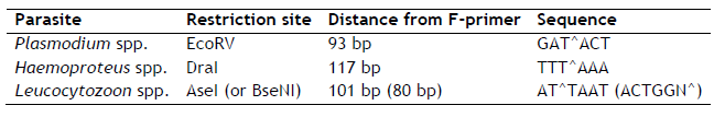 table1 (11K)